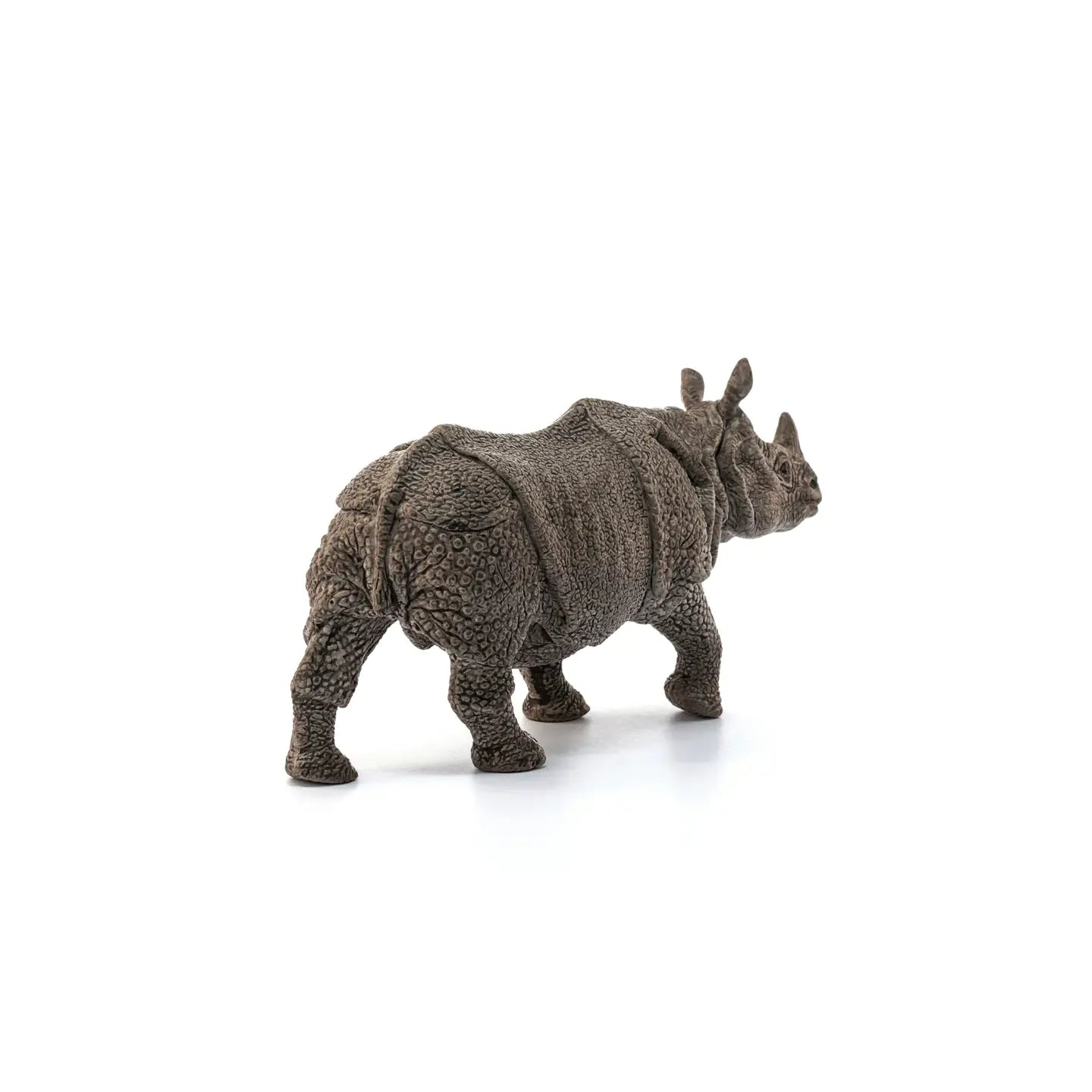 INDIAN RHINOCEROS