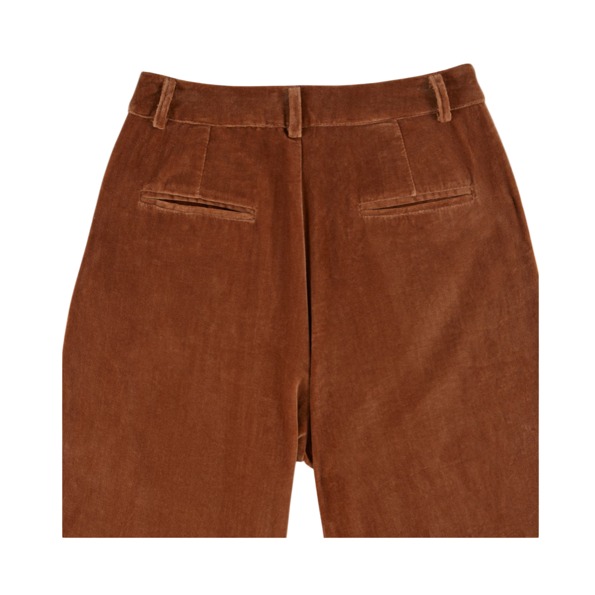 Brown velour pant in bronze on a white background