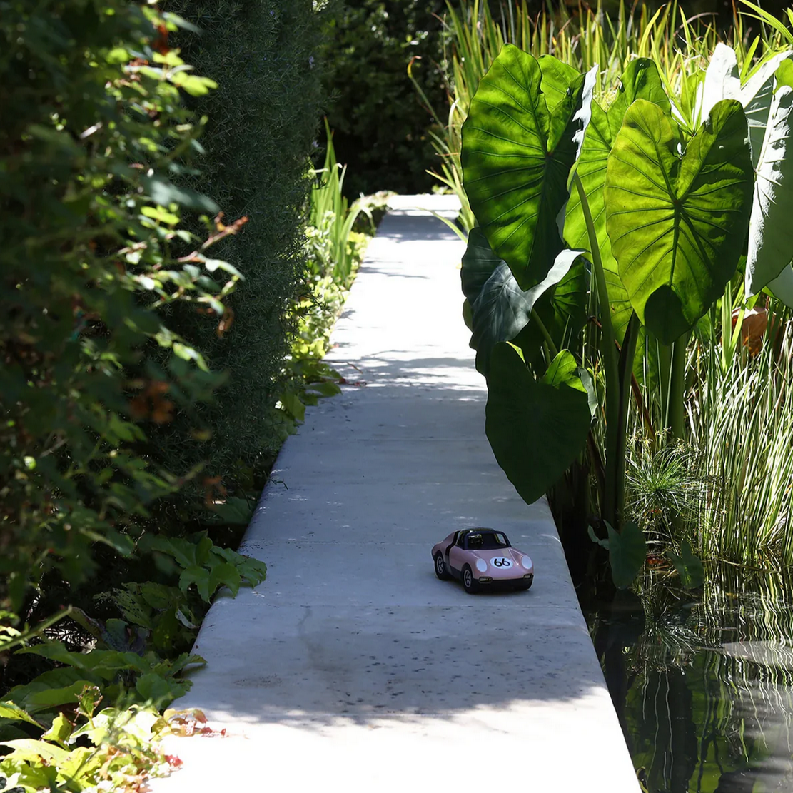 Car parked on a path surrounded by greenery