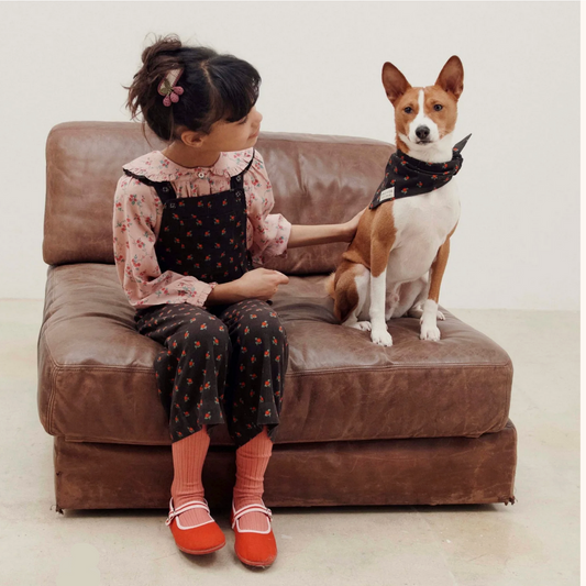 Child sitting on a brown couch with a dog wearing a bandana.