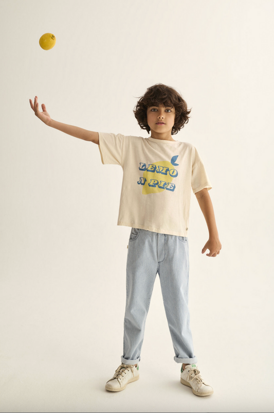 ECHO RAILROAD STRIPED DENIM PANTS