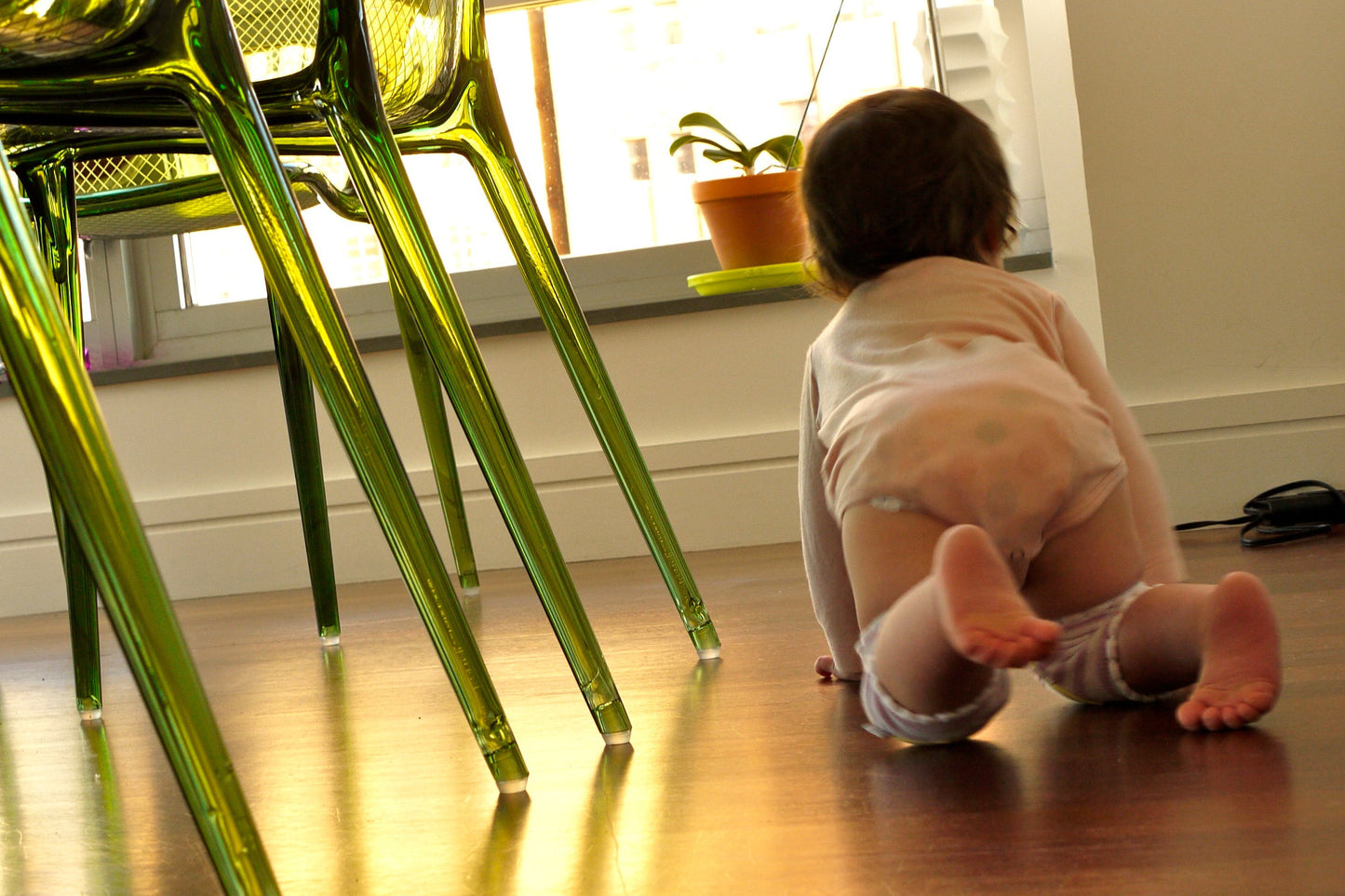 CRAWLINGS KNEE PADS - CROWN