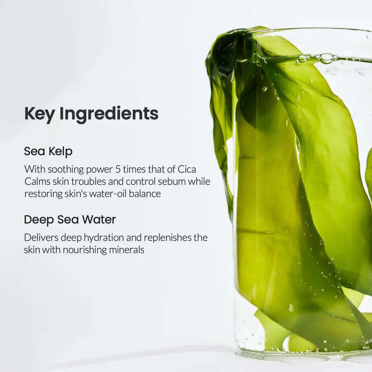 BIODANCE SEA KELP FACE MASK