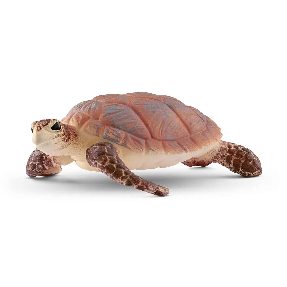 HAWSBILL SEA TURTLE