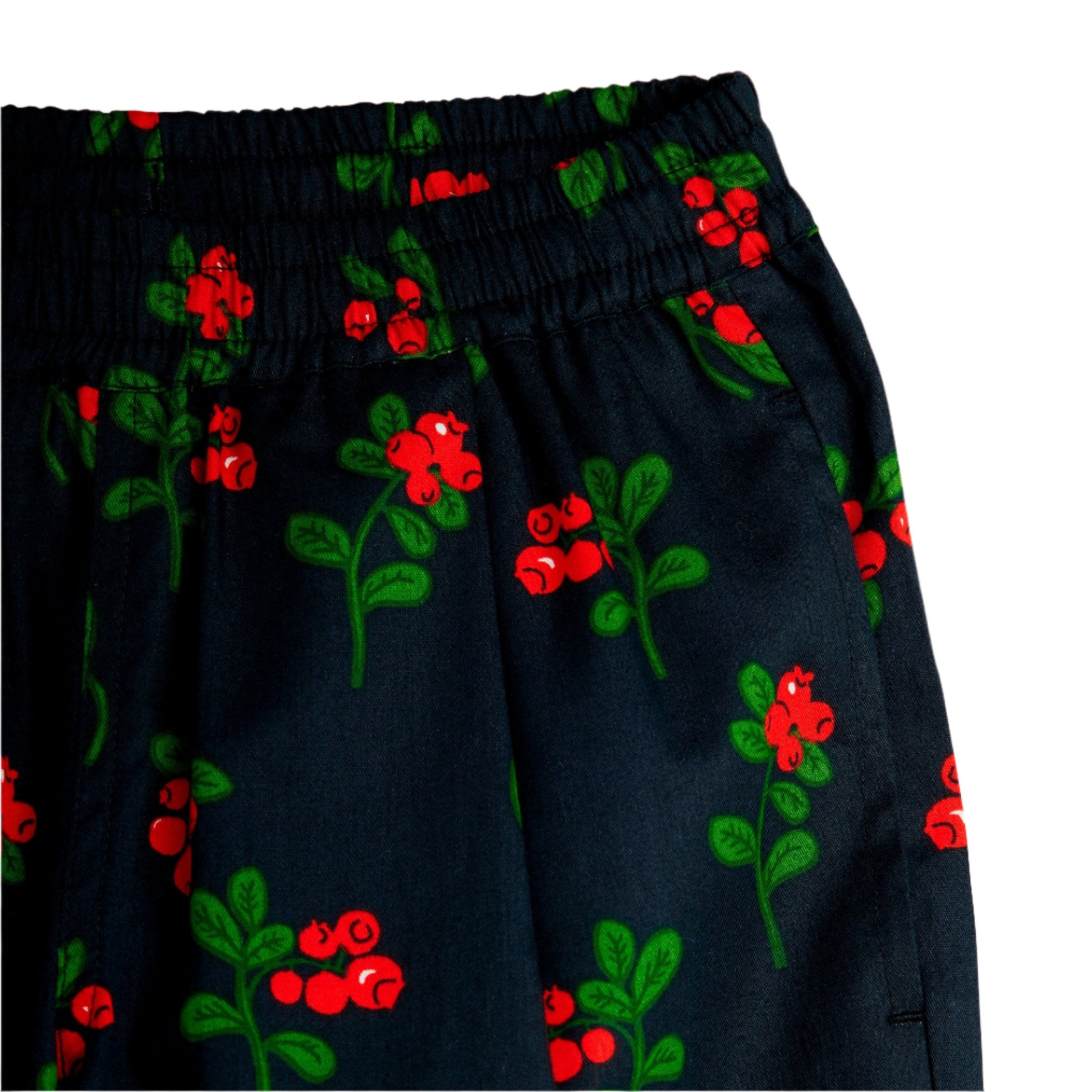 Navy blue pants with red and green floral pattern on a white background