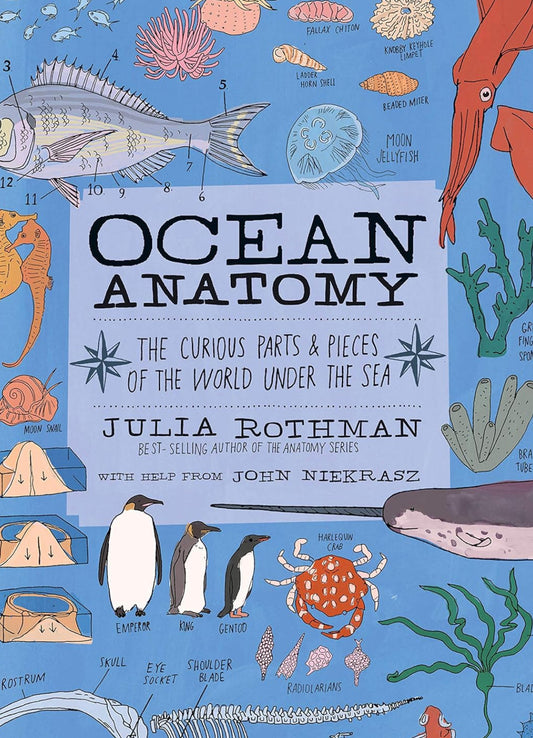 OCEAN ANATOMY: THE CURIOUS PARTS & PIECES