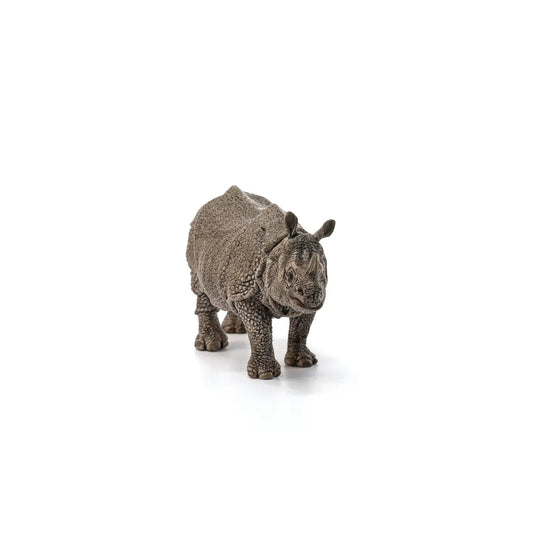 INDIAN RHINOCEROS