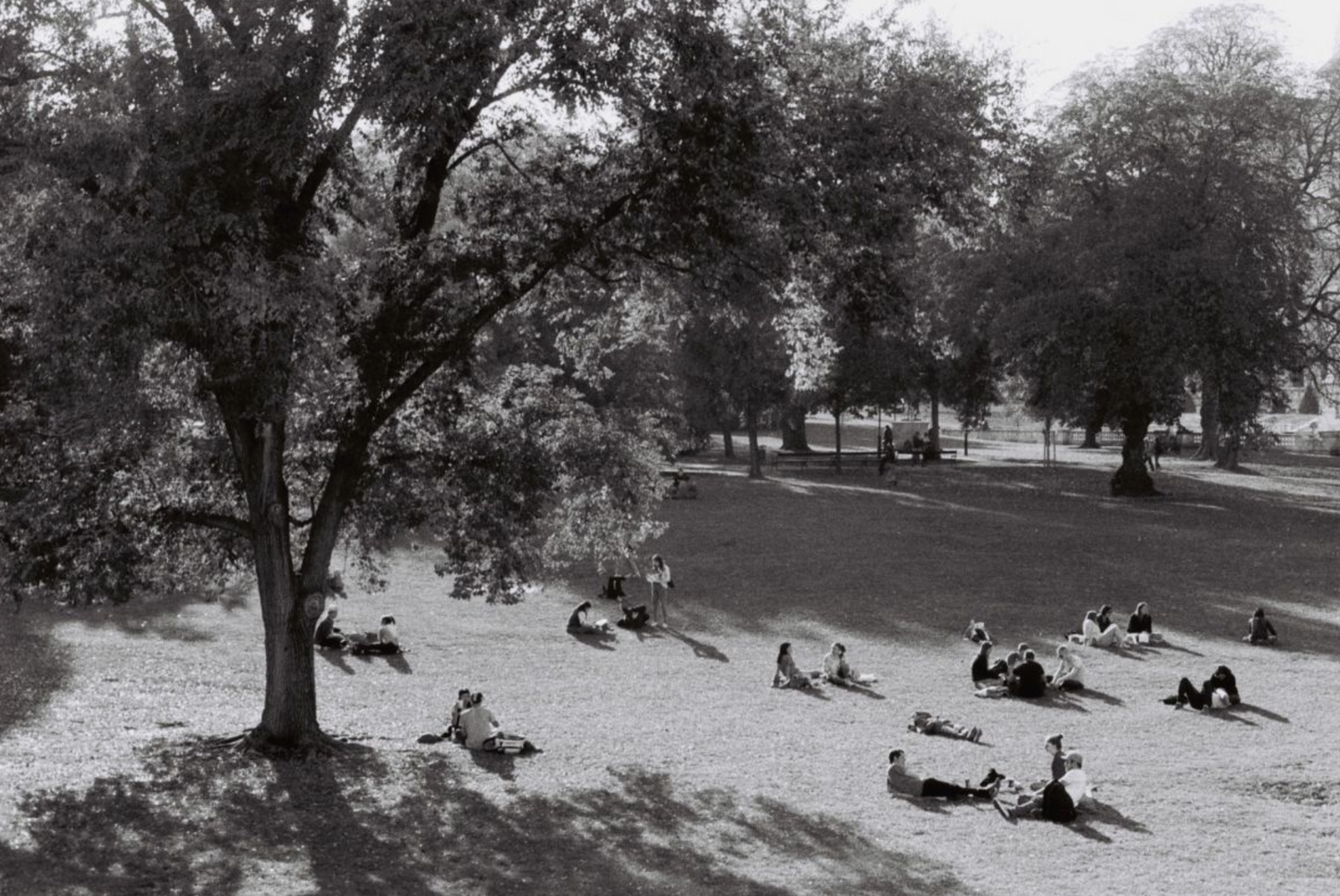 BERLIN KINO B&W 35MM ISO 400