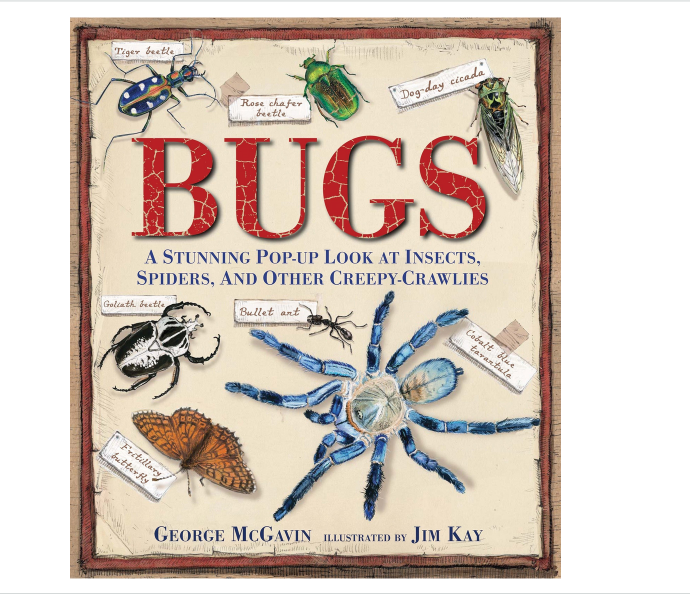 BUGS: A STUNNING POP UP LOOK AT INSECTS, SPIDERS, AND OTHER CREEPY- CRAWLIES