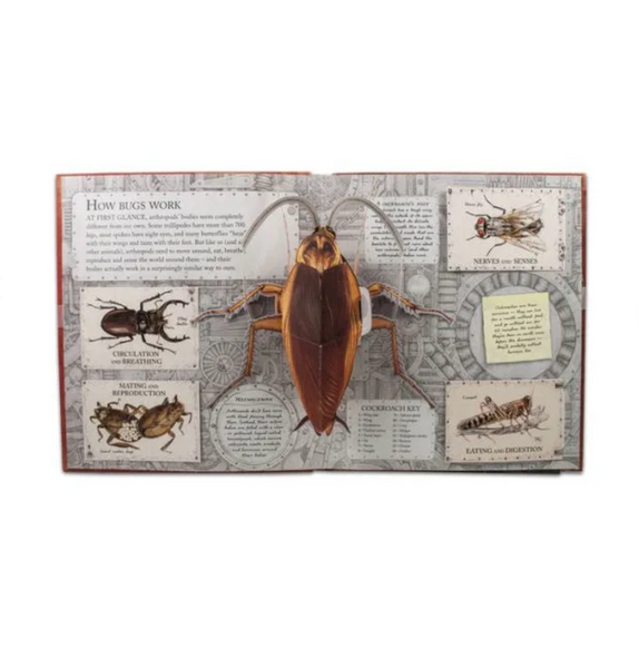BUGS: A STUNNING POP UP LOOK AT INSECTS, SPIDERS, AND OTHER CREEPY- CRAWLIES