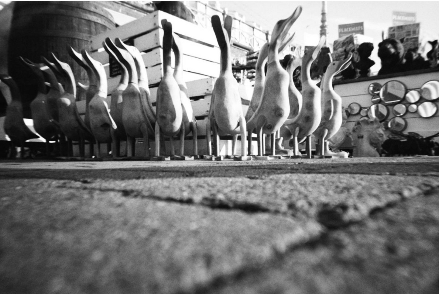 SIMPLE USE 35MM CAMERA - BLACK & WHITE