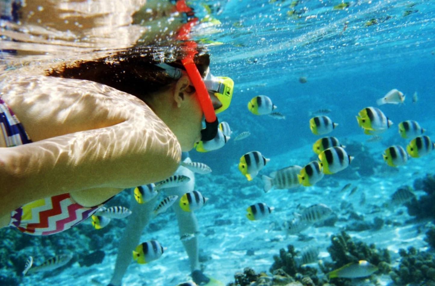 Lomography Color Negative 35 mm ISO 100 – Pack of 3