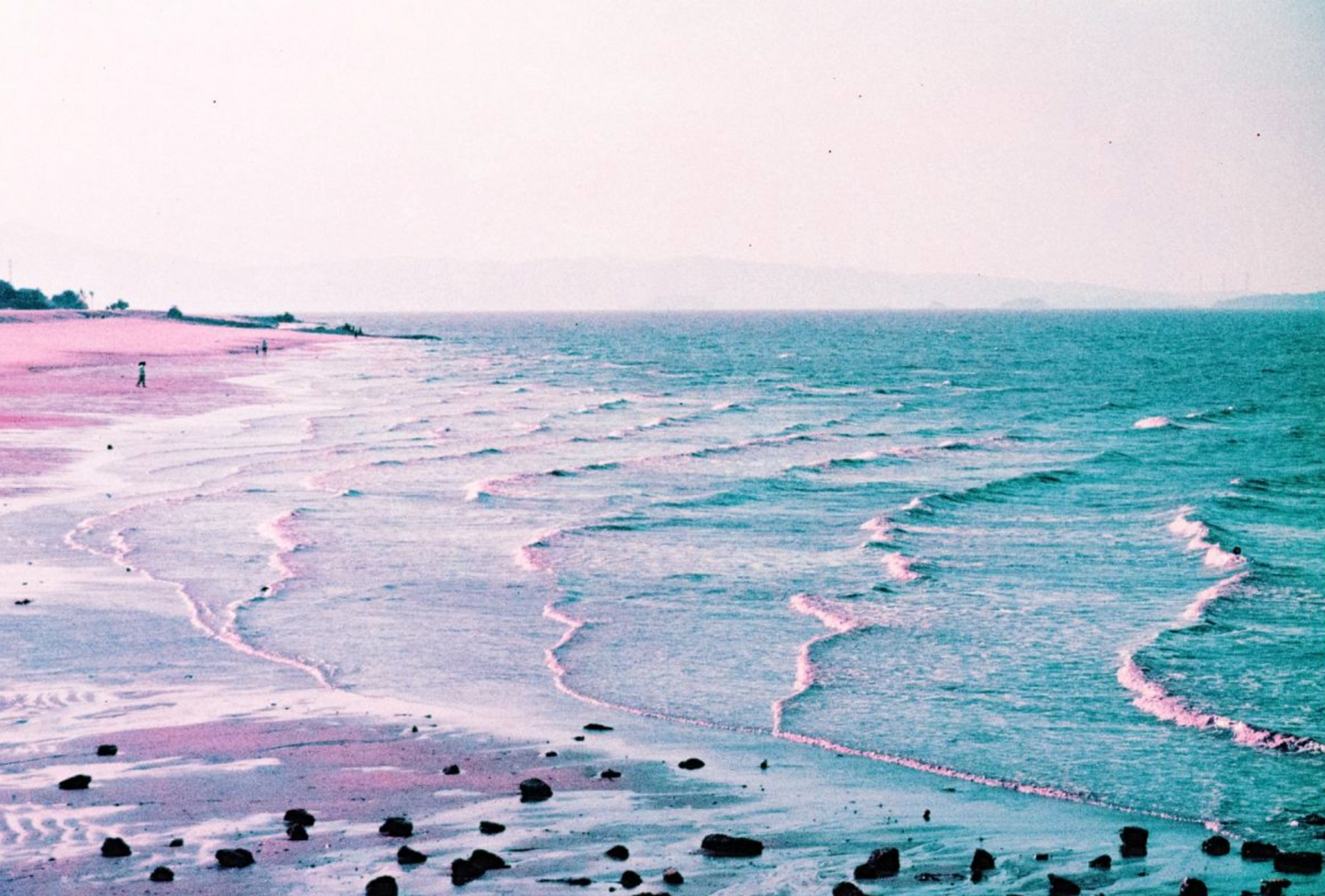 2021 LOMOCHROME PURPLE PETILLANT #% MM ISO 100-400