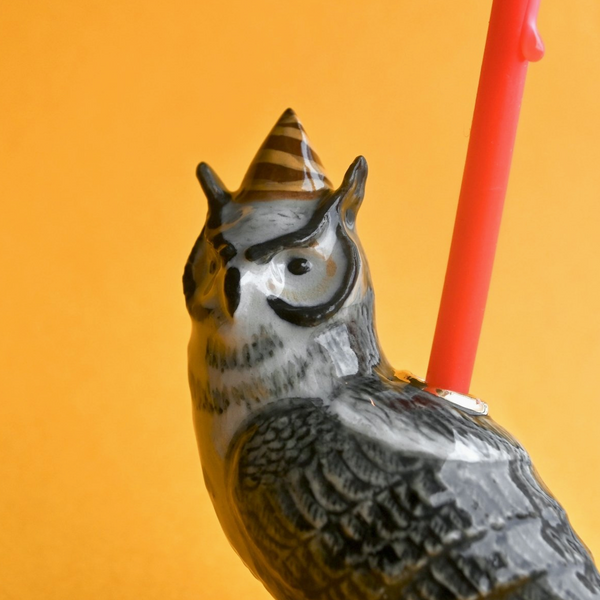 WISE OWL CAKE TOPPER