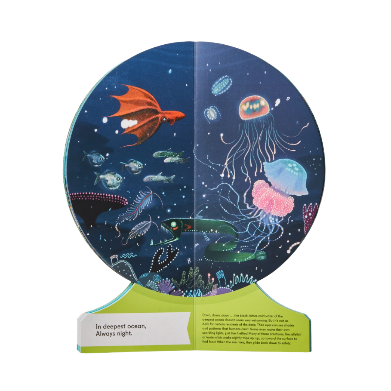 OUR UNDERWATER WORLD