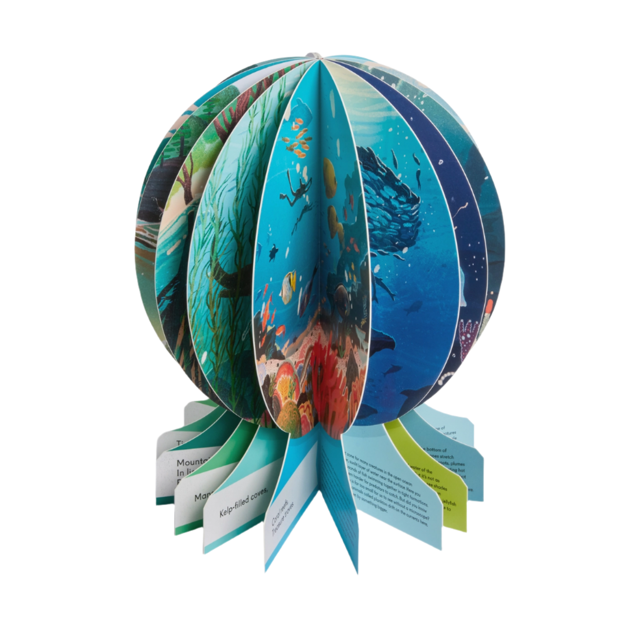 OUR UNDERWATER WORLD