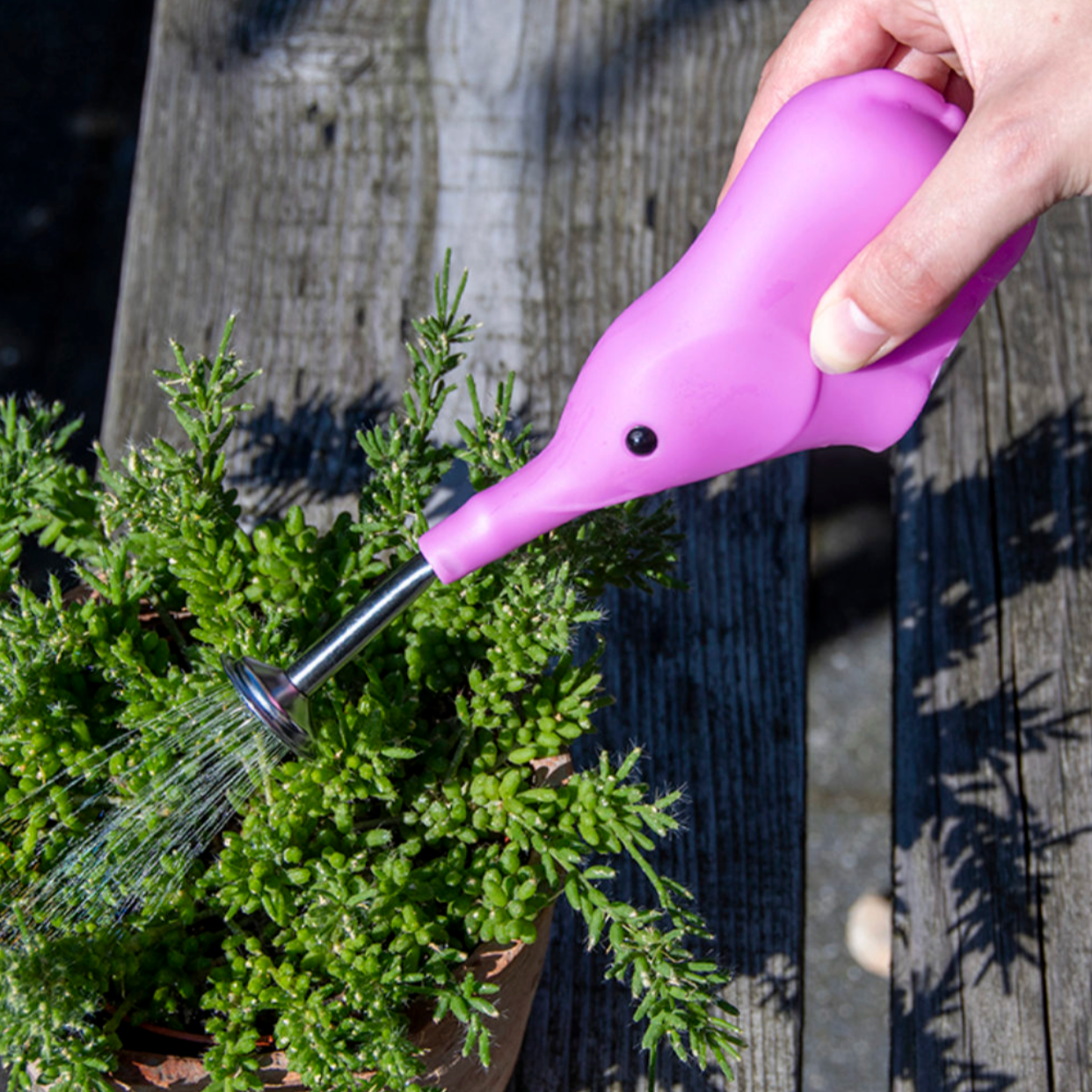 ELEPHANT SQUEEZE SPRINKLER WATERING CAN