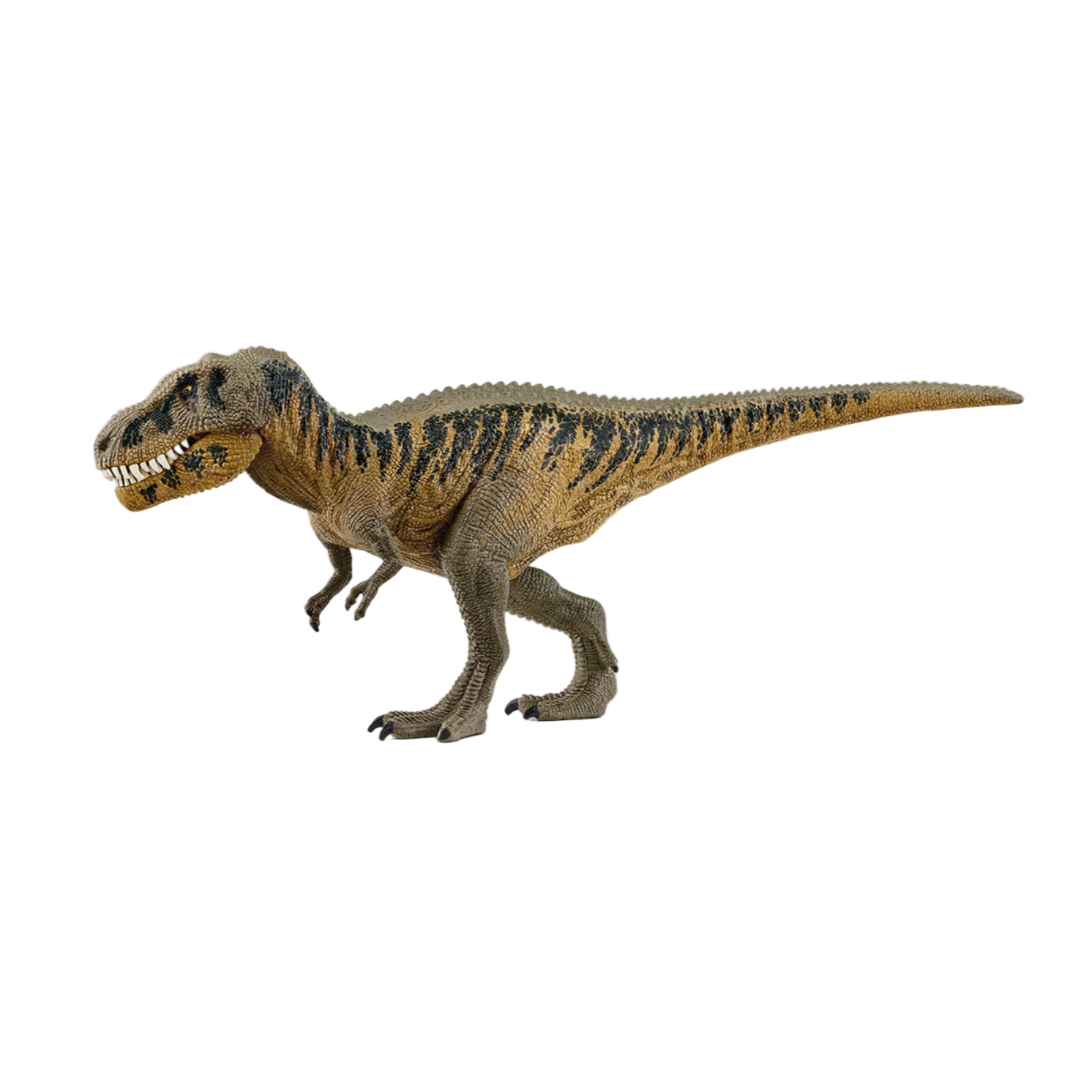Dinosaur toy figure on a white background