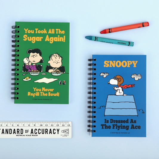 Two cartoon-themed notebooks with a ruler and crayons on a light blue background