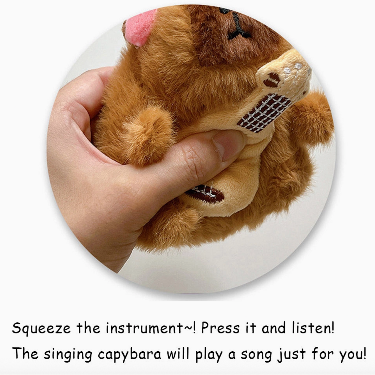Singing capybara plush toy being held with text instructions on a white background