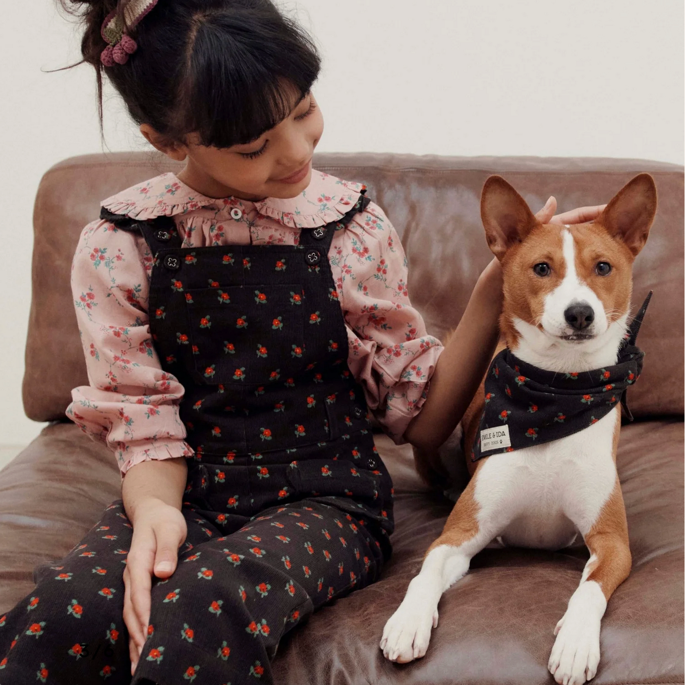 Young girl sitting on a couch with a dog wearing a harness