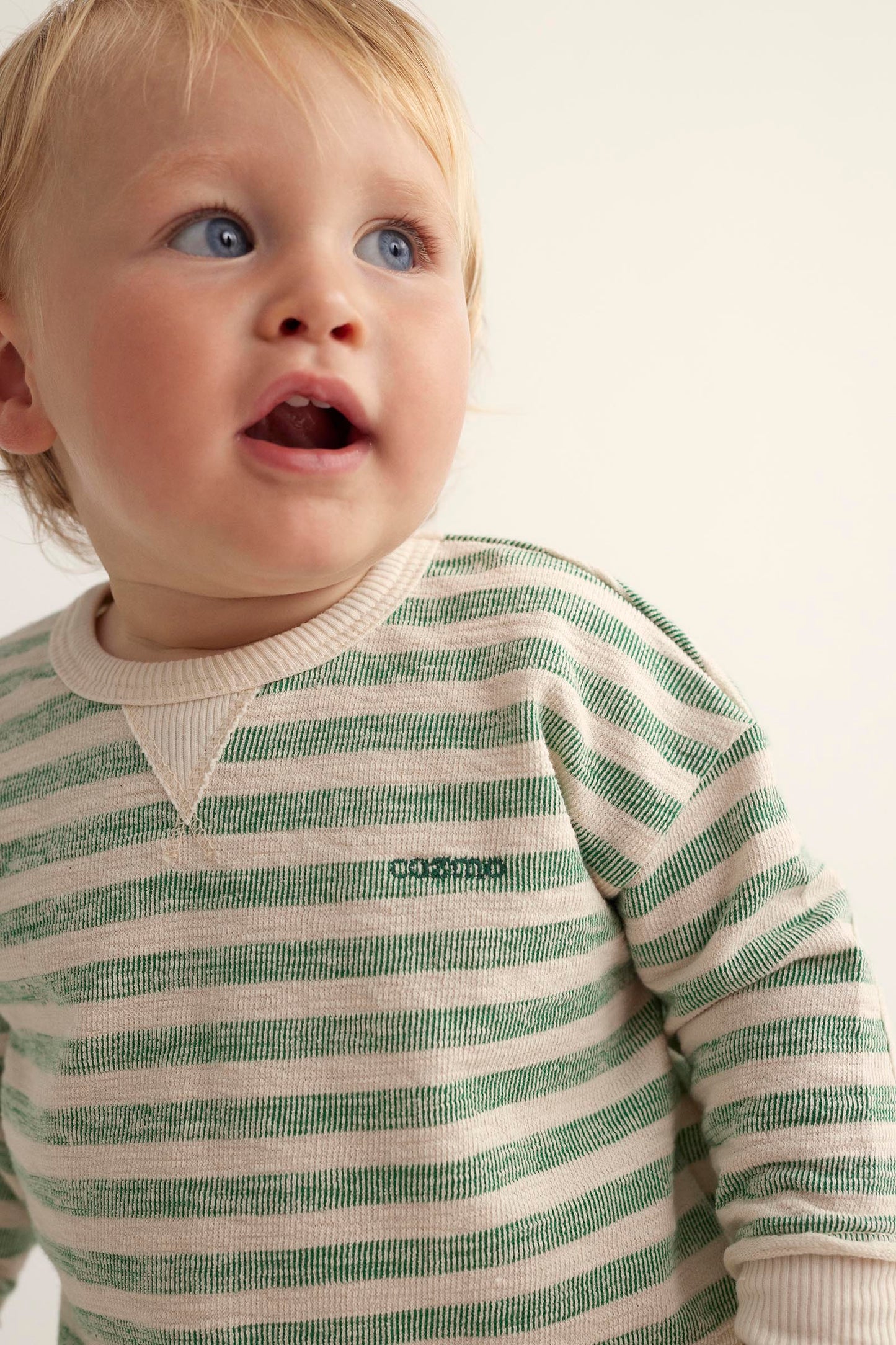 THIAGO GREEN GRASS STRIPE SWEATSHIRT