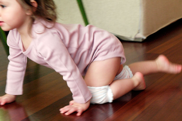 CRAWLINGS KNEE PADS - BIRDY